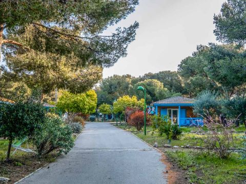 Les Chalets de la Mer - Camping Bouches-du-Rhône - Image N°6