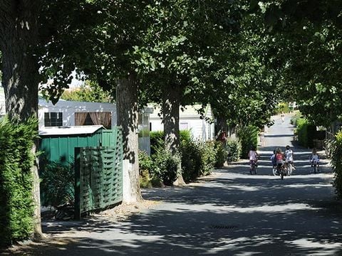 Camping l'Eden - Camping Vendée - Image N°14