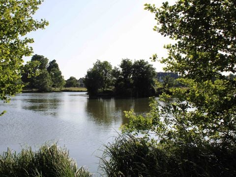 Le Parc de Launay - Camping Indre-et-Loire - Image N°2