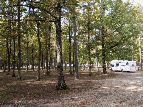 Ushuaïa Villages Provence-Ventoux - Camping Vaucluse - Image N°2