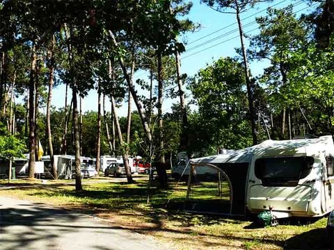 Camping Mira - Camping Centre du Portugal - Image N°29