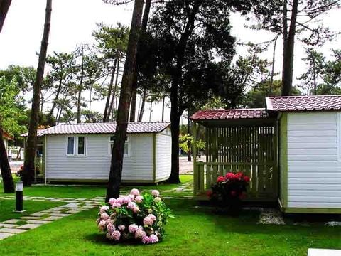 Camping Mira - Camping Centre du Portugal - Image N°28