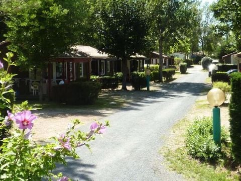 Camping maeva Escapades Les Bö-Bains - Camping Dordogne - Image N°36