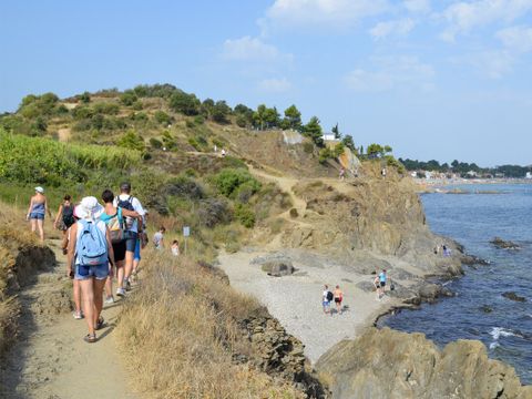 Camping Le Bois de Valmarie - Camping Pyrénées-Orientales - Image N°34