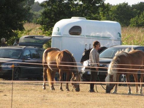 Camping de Kernéjeune - Camping Morbihan - Image N°66