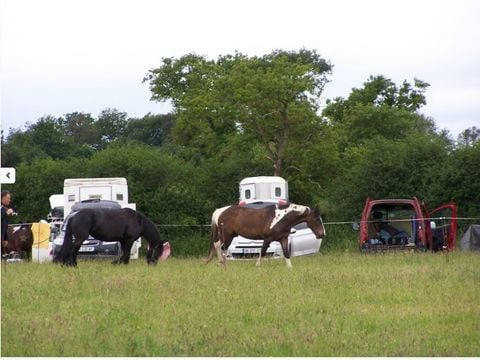 Camping de Kernéjeune - Camping Morbihan - Image N°31