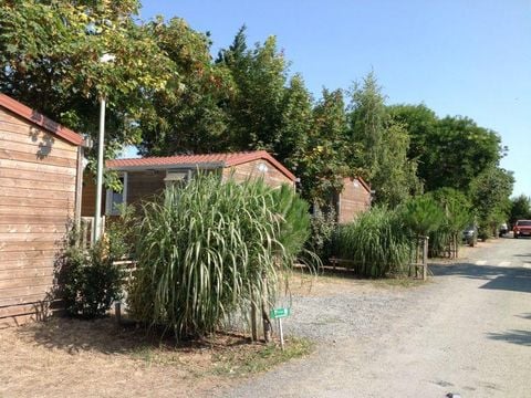 Camping Paradis Au port de l'houmeau. - Camping Charente-Maritime - Image N°13