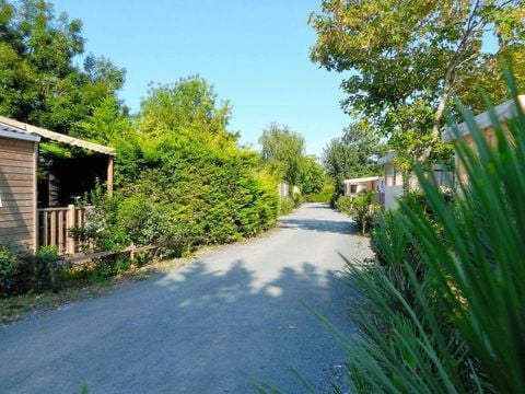 Camping Paradis Au port de l'houmeau. - Camping Charente-Maritime - Image N°15