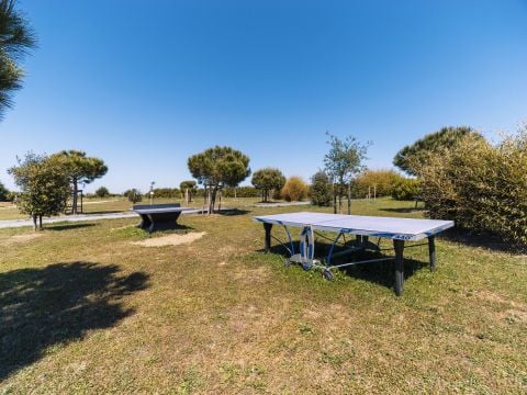 Camping Paradis Au port de l'houmeau. - Camping Charente-Maritime - Image N°24