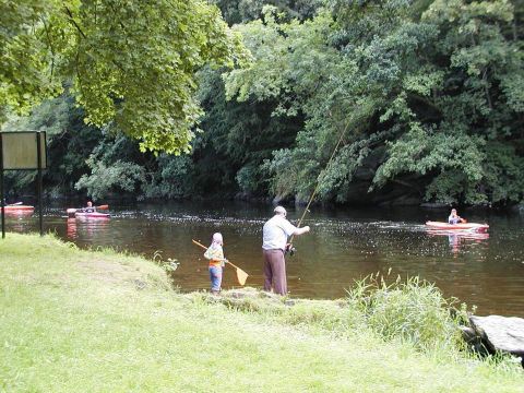 Camping La Roche-en-Ardenne - Camping Luxembourg - Image N°21