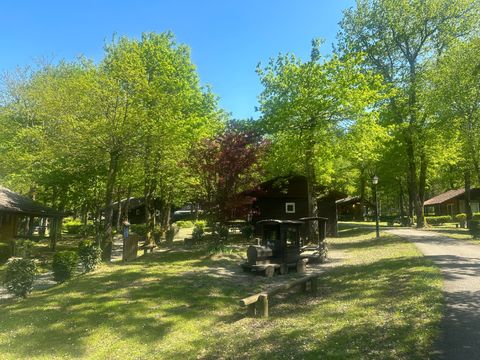 Camping Relais du Leman Pausado - Camping Haute-Savoie - Image N°12