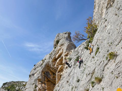 Camping La Vallée Heureuse Pausado - Camping Bouches-du-Rhône - Image N°13