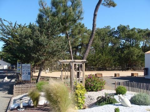 Camping de Sion - Camping Vendée - Image N°7