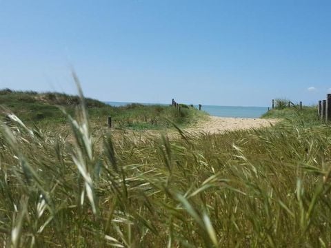 Camping la Forêt - Camping Vendée - Image N°24