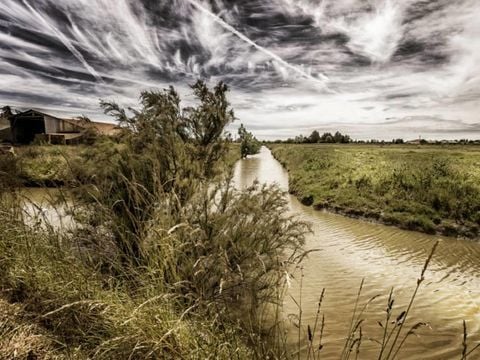 Camping la Forêt - Camping Vendée - Image N°41