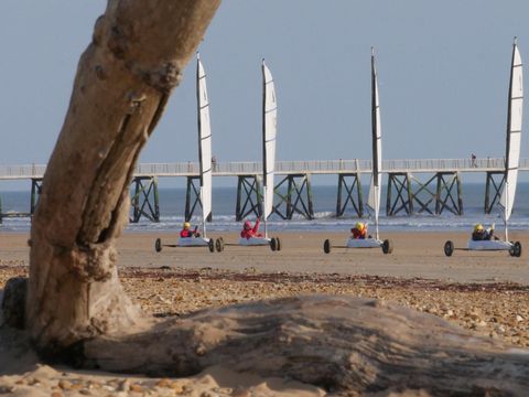 Camping la Forêt - Camping Vendée - Image N°11