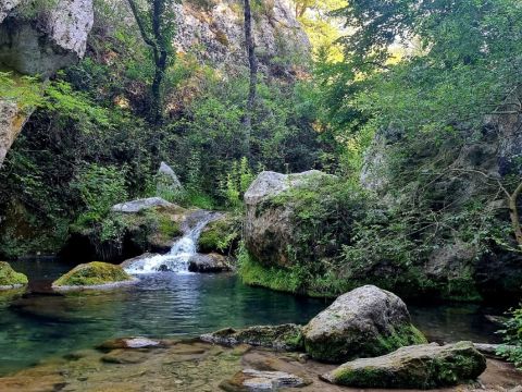 Camping Domaine des Chênes Blancs Pausado - Camping Vaucluse - Image N°27