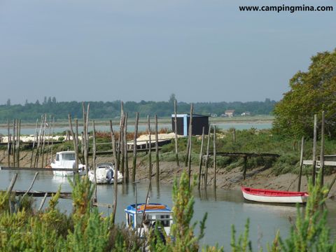 Camping maeva Escapades Les Etangs Mina - Camping Charente-Maritime - Image N°89