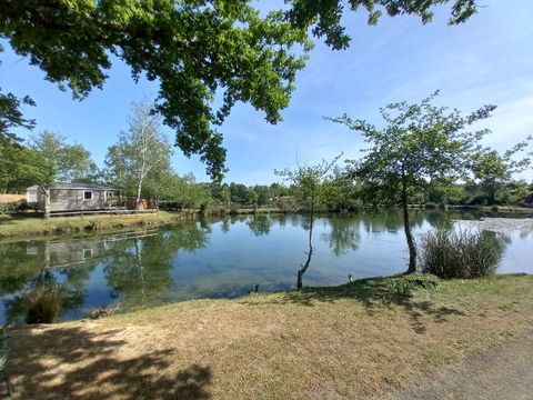 Camping maeva Escapades Les Etangs Mina - Camping Charente-Maritime - Image N°30