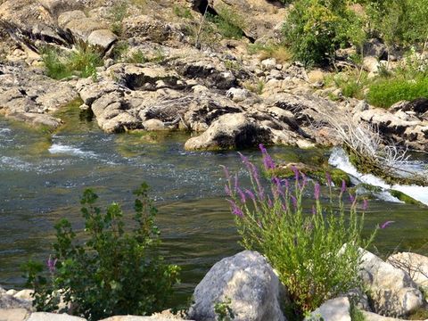 Camping La Plage de l'Orb - Camping Hérault - Image N°8