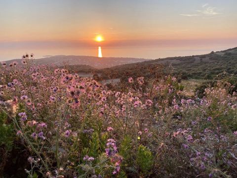 Camping Le Panoramic - Camping Corse du Nord - Image N°10