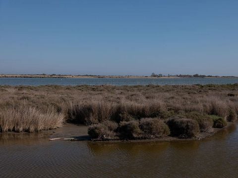 Camping Les Bois Flottés - Camping Bouches-du-Rhône - Image N°17