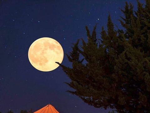 HÉBERGEMENT INSOLITE 2 personnes - GRAND TIPI GLAMPING PMR