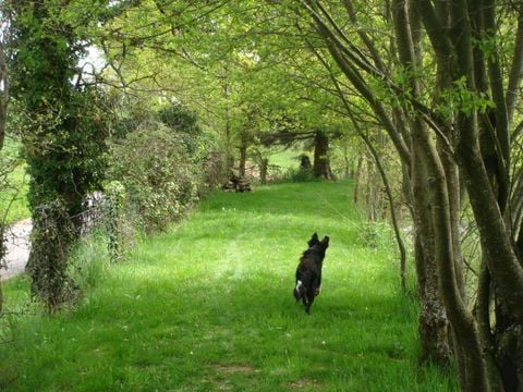 Camping Le Muret - Camping Aveyron - Image N°18