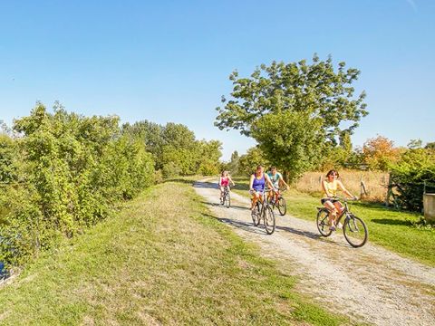 Camping Le Marais Sauvage - Camping Vendée - Image N°22