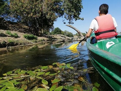 Camping Au Bord de Loire - Camping Maine-et-Loire - Image N°69