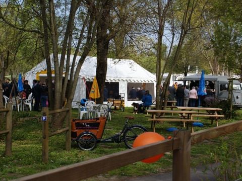 Camping Au Bord de Loire - Camping Maine-et-Loire - Image N°24