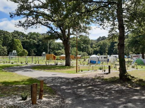 Camping de L'ile Aux Pies - Camping Ille-et-Vilaine - Image N°7