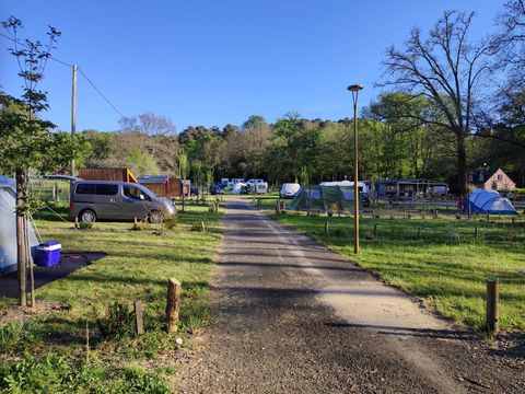 Camping de L'ile Aux Pies - Camping Ille-et-Vilaine - Image N°5