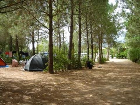 Camping U Moru - Camping Corse du Sud - Image N°7