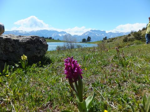 VVF Villages - Les Ecrins - Saint-Bonnet-en-Champsaur - Camping Hautes-Alpes - Image N°28