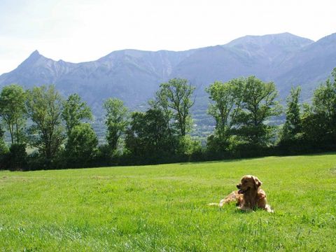 VVF Villages - Les Ecrins - Saint-Bonnet-en-Champsaur - Camping Hautes-Alpes - Image N°10