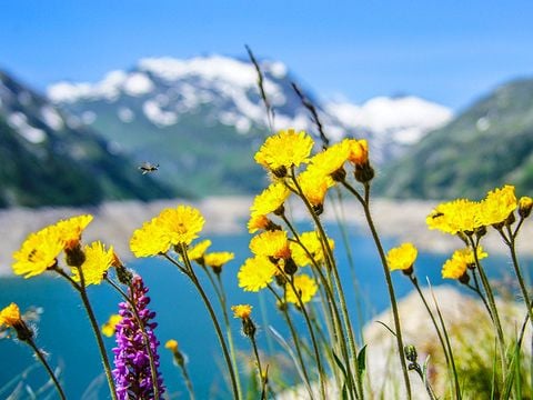 Résidence Les Menuires - Camping Savoie - Image N°27