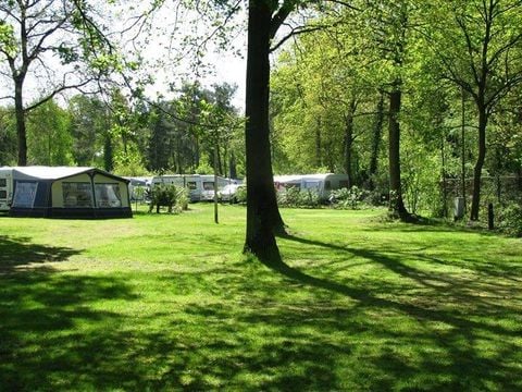 Camping de Haer - Camping Dinkelland - Image N°30