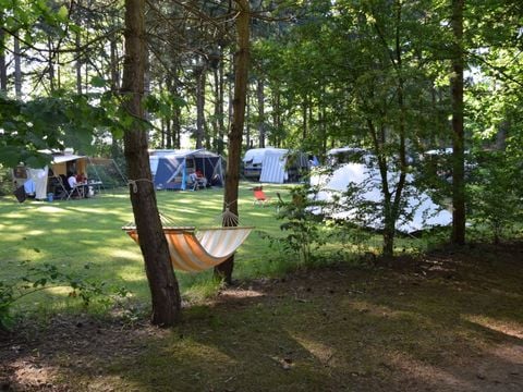 Vodatent Camping het Horstmannsbos - Camping Aa und Hunze - Image N°8