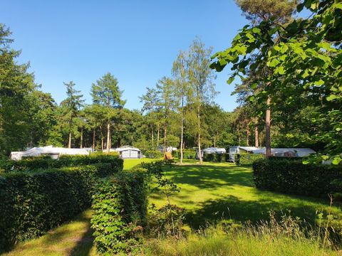 Vodatent Camping het Horstmannsbos - Camping Aa und Hunze - Image N°9