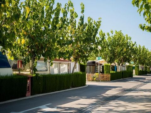 Camping El Raco - Camping Alicante - Image N°17