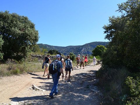 VVF Villages - Le Balcon du Lubéron - Murs - Camping Vaucluse - Image N°8