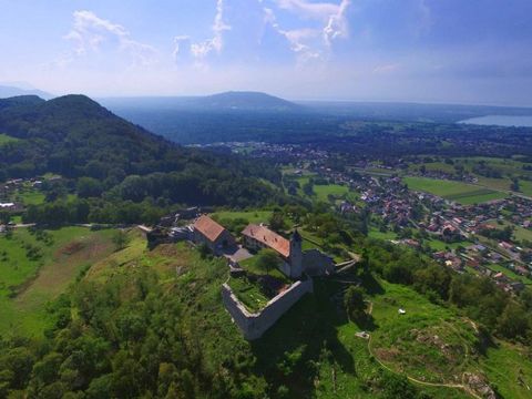 VVF Villages - Les Rives du Léman - Evian-les-Bains - Camping Haute-Savoie - Image N°4