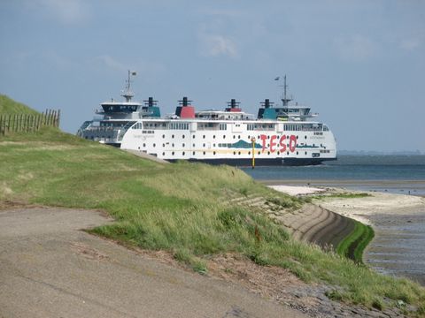 Vakantiepark De Krim Texel - Camping Texel - Image N°46