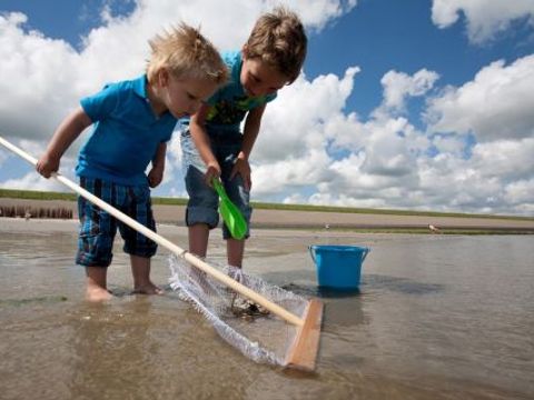 Vakantiepark De Krim Texel - Camping Texel - Image N°38