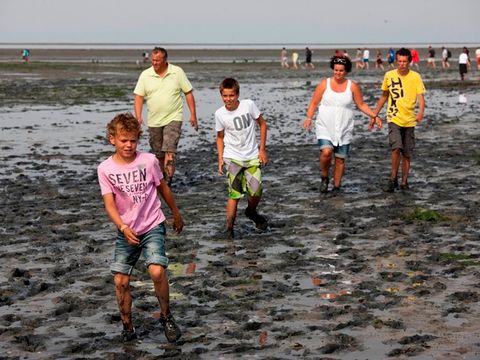 Vakantiepark De Krim Texel - Camping Texel - Image N°51