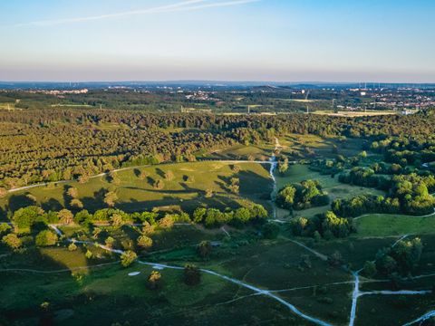 EuroParcs Brunssummerheide - Camping Brunssum - Image N°23