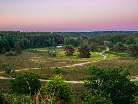 EuroParcs Brunssummerheide - Camping Brunssum - Image N°25