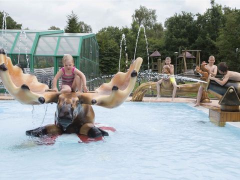 Vakantiepark De Pampel - Camping Apeldoorn - Image N°47