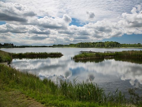 EuroParcs Molengroet - Camping Langedijk - Image N°40